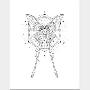 Chinese Luna Moth - Actias Dubernardi Posters and Art